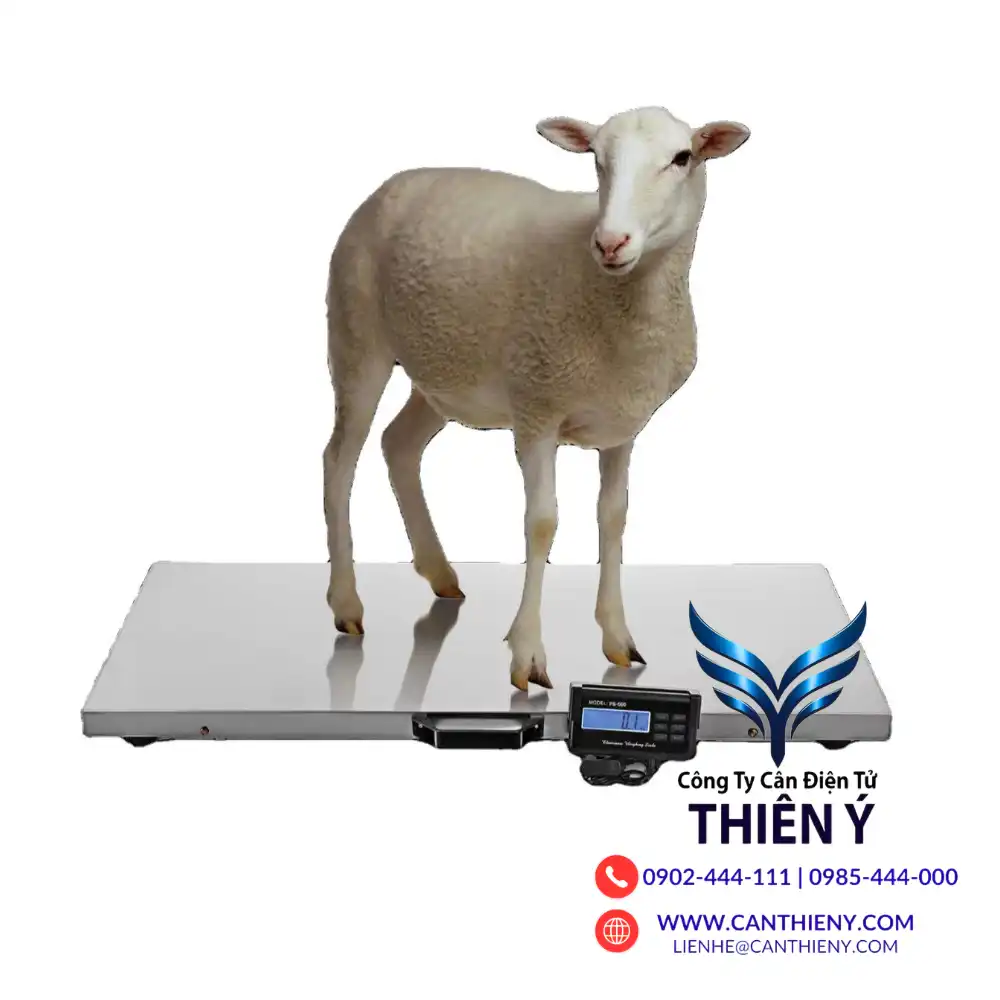 can-dong-vat-gia-re-tai-ha-giang-canthieny