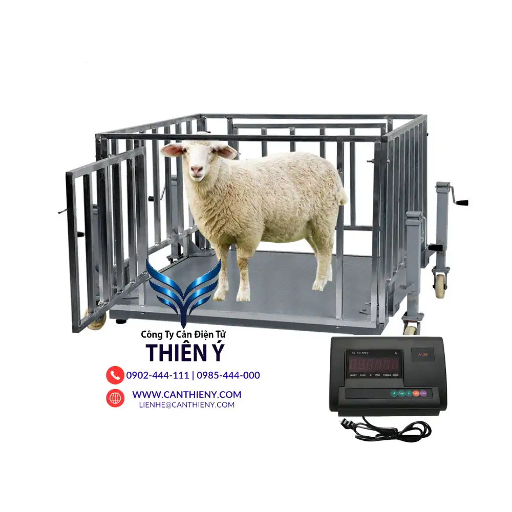 can-dong-vat-gia-re-tai-lai-chau-canthieny