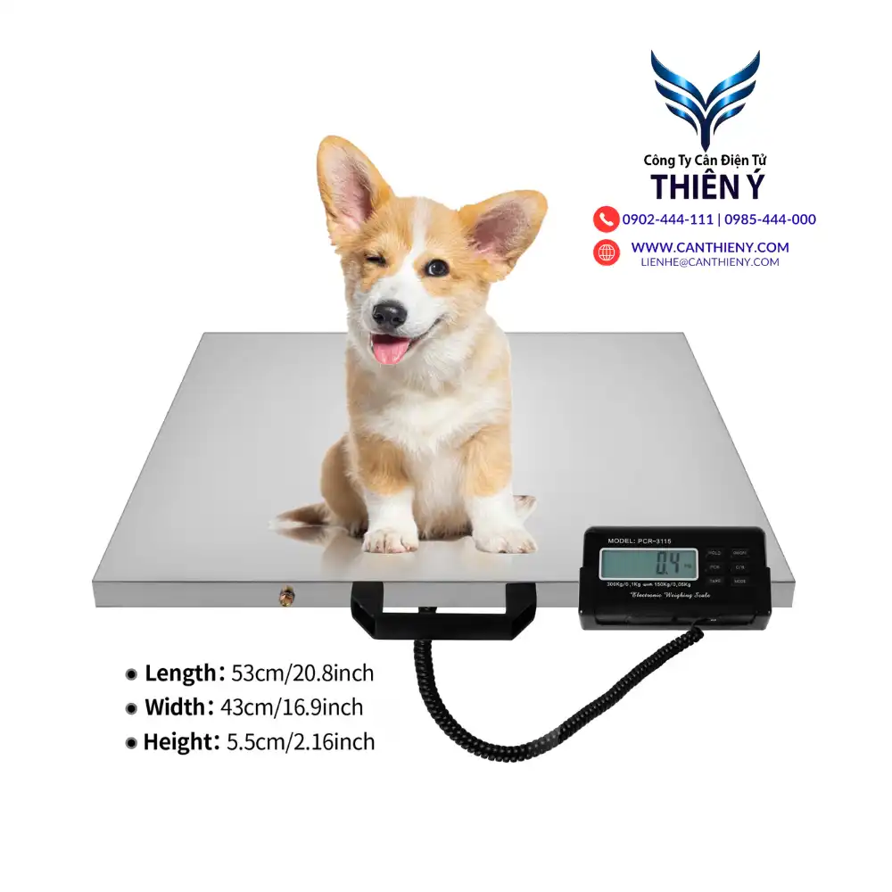 can-dong-vat-tai-ben-tre-canthieny