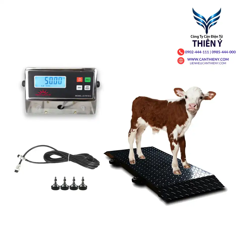 can-dong-vat-tai-dong-thap-canthieny