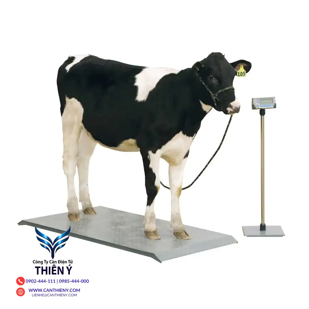 can-dong-vat-tai-gia-lai-canthieny