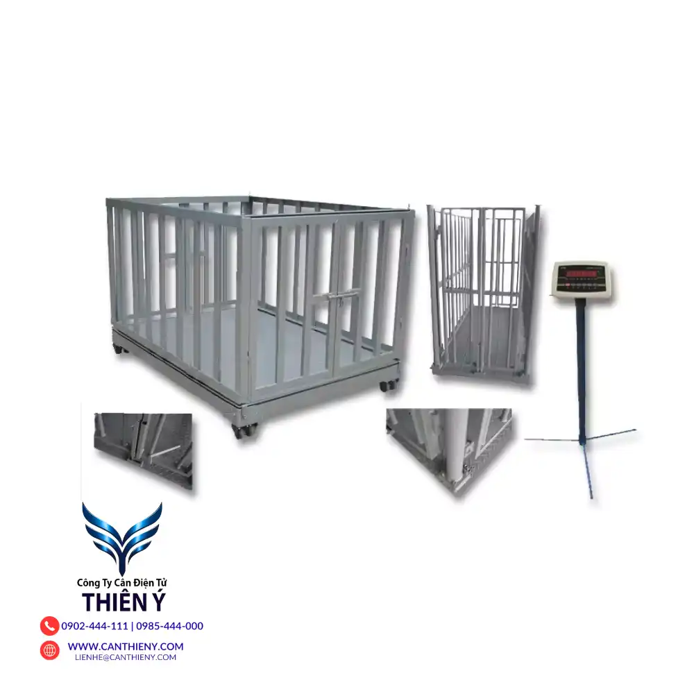 can-dong-vat-tai-hai-phong-canthieny