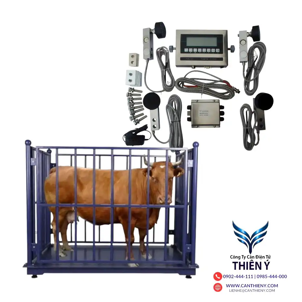 can-dong-vat-tai-lao-cai-canthieny