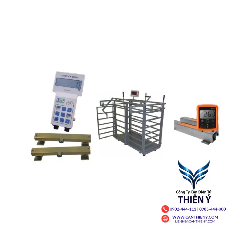 can-dong-vat-uy-tin-tai-dong-thap-canthieny